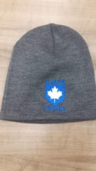 Beanie (Grey)